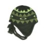 Nordic Fern Norway Pattern Earflap Beanie – Oakley