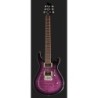 Harley Benton CST-24T Purple Burst